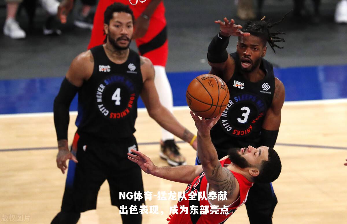 猛龙队全队奉献出色表现，成为东部亮点
