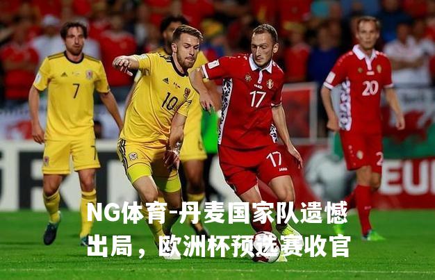 丹麦国家队遗憾出局，欧洲杯预选赛收官