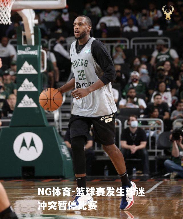 篮球赛发生球迷冲突暂停比赛