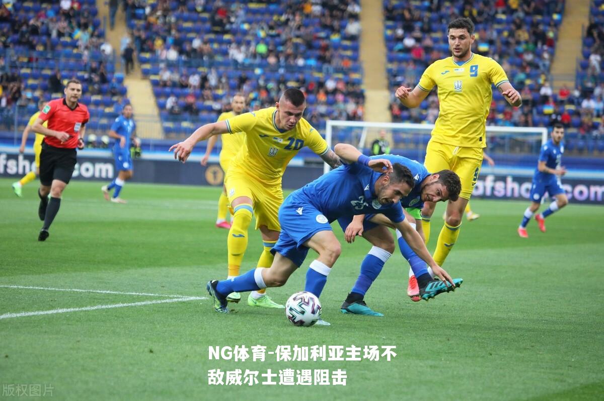 保加利亚主场不敌威尔士遭遇阻击