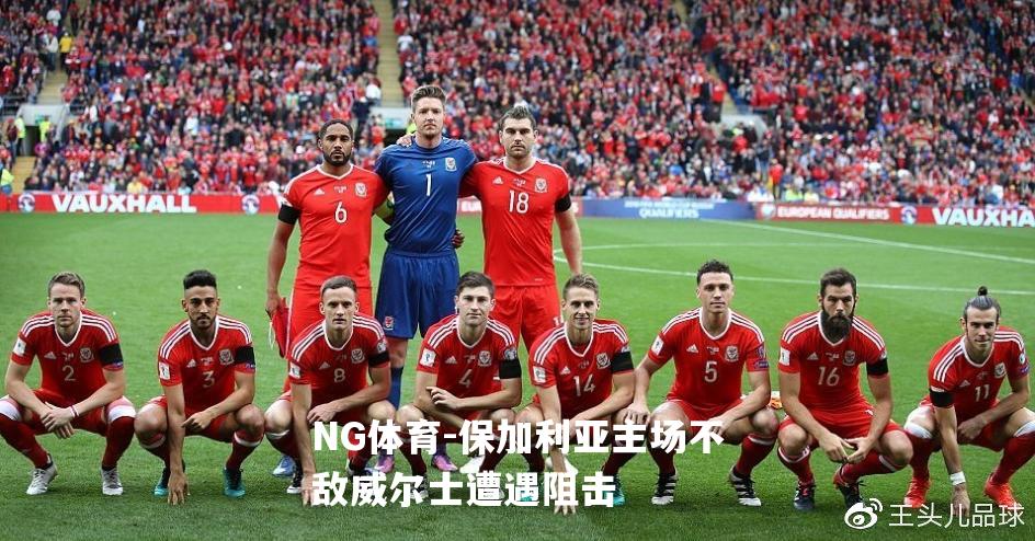 保加利亚主场不敌威尔士遭遇阻击
