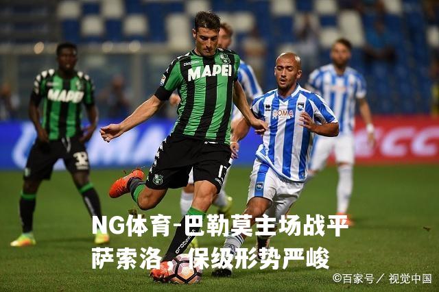 巴勒莫主场战平萨索洛，保级形势严峻
