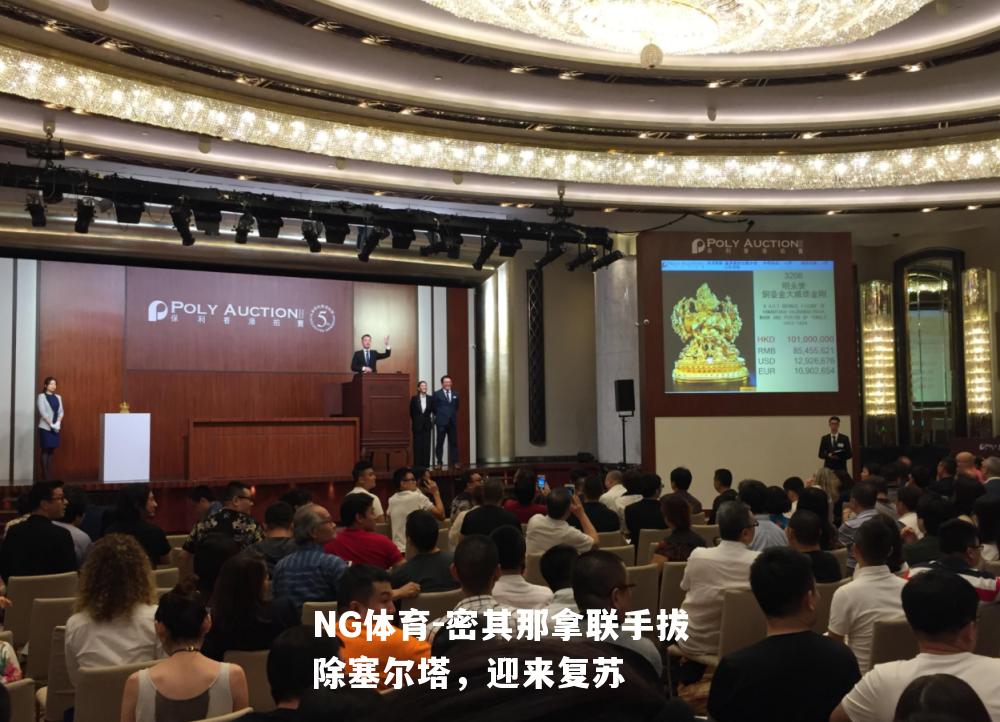 密其那拿联手拔除塞尔塔，迎来复苏