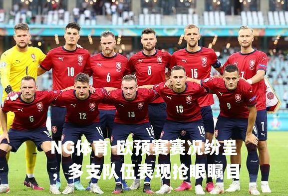 欧预赛赛况纷呈，多支队伍表现抢眼瞩目