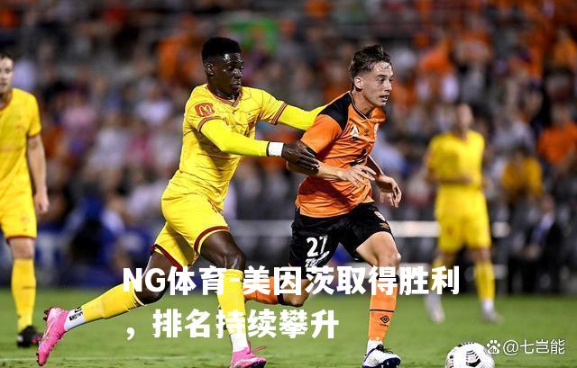 美因茨取得胜利，排名持续攀升