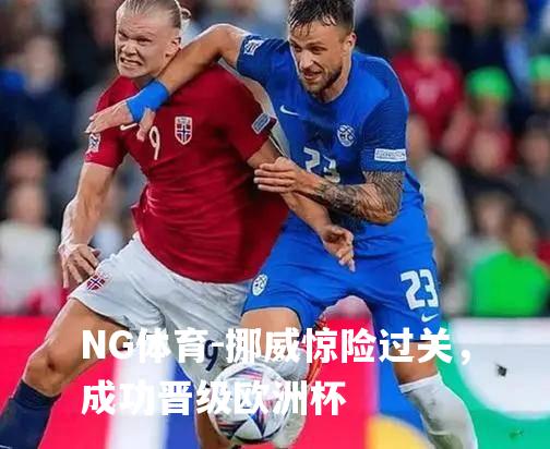 挪威惊险过关，成功晋级欧洲杯