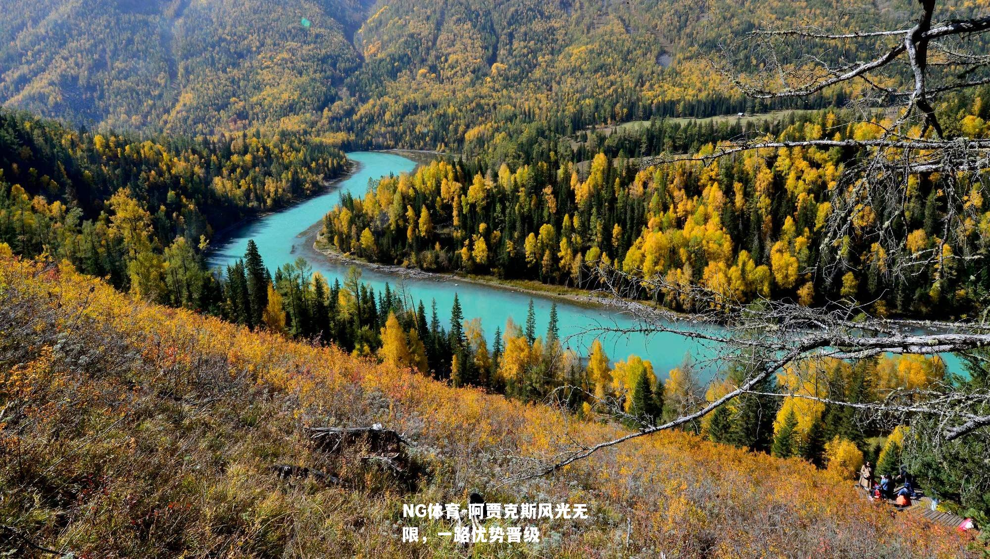阿贾克斯风光无限，一路优势晋级