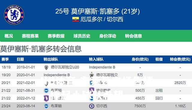 布莱顿主场告捷，撑起小球队希望