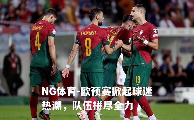 欧预赛掀起球迷热潮，队伍拼尽全力