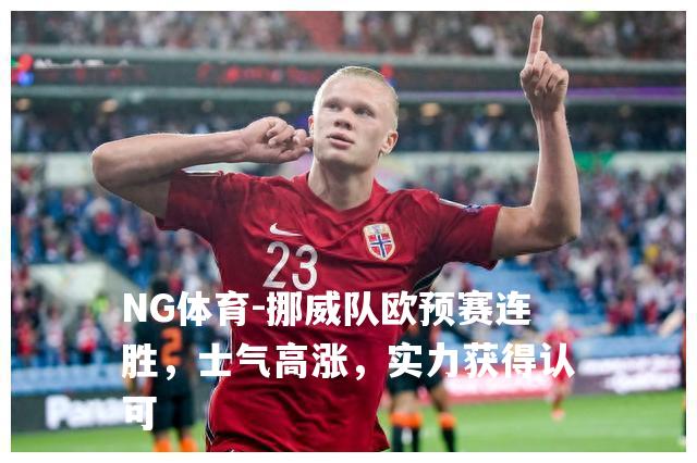 挪威队欧预赛连胜，士气高涨，实力获得认可