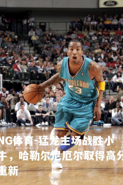 猛龙主场战胜小牛，哈勒尔尼厄尔取得高分重新