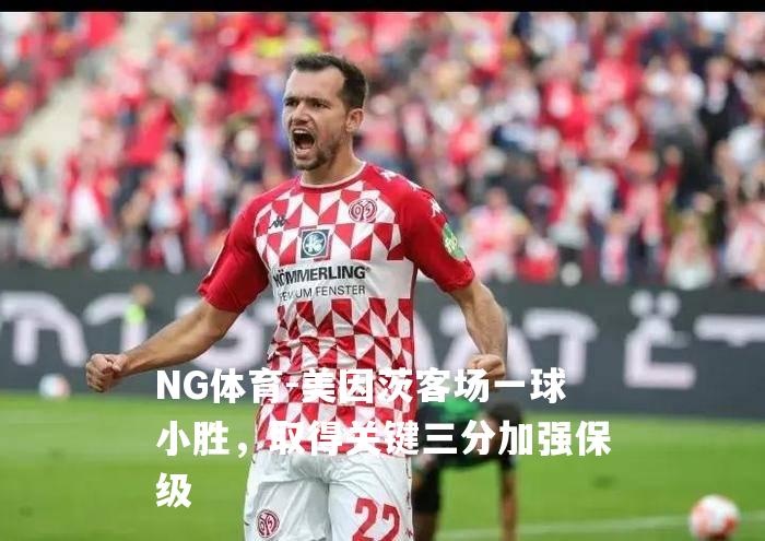 美因茨客场一球小胜，取得关键三分加强保级