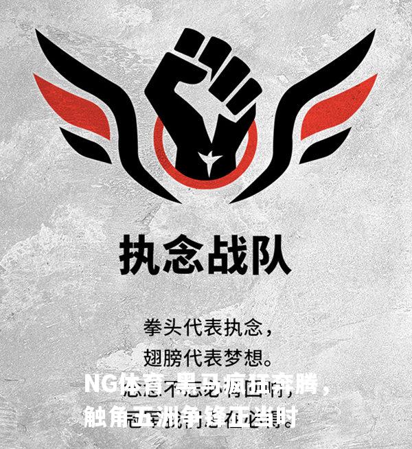 黑马疯狂奔腾，触角五洲争锋正当时