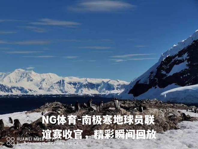 南极寒地球员联谊赛收官，精彩瞬间回放