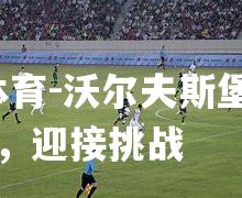 沃尔夫斯堡全力抗击，迎接挑战