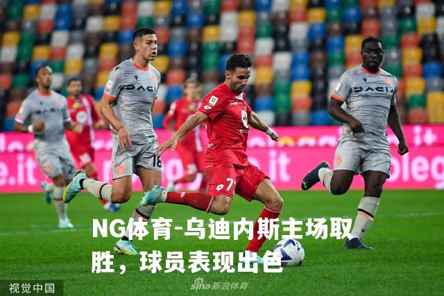 乌迪内斯主场取胜，球员表现出色